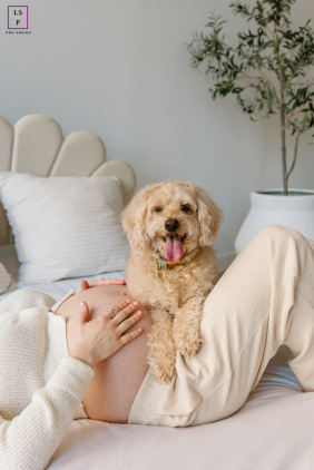 In Chicago, Illinois, a cheerful Goldendoodle steals the spotlight while perched on the mother’s belly, tongue out and full of personality. Soft neutral tones and a relaxed setting create a playful portrait celebrating companionship and a growing family.
