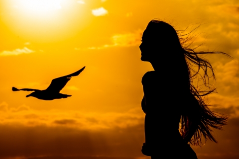 Retrato de adolescente ao pôr do sol de Santa Catarina como uma silhueta com uma ave marinha voando durante esta sessão no Brasil