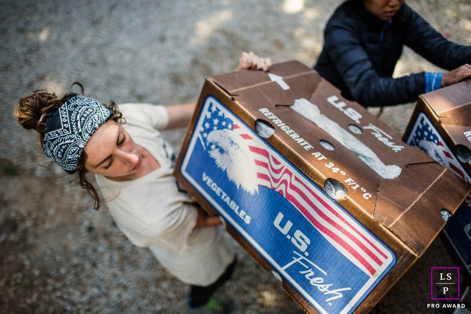 A woman works hard at Pie Ranch in Pescadero, CA, lifting a box full of fresh vegetables. Her determination shines through in this business image by a lifestyle photographer.