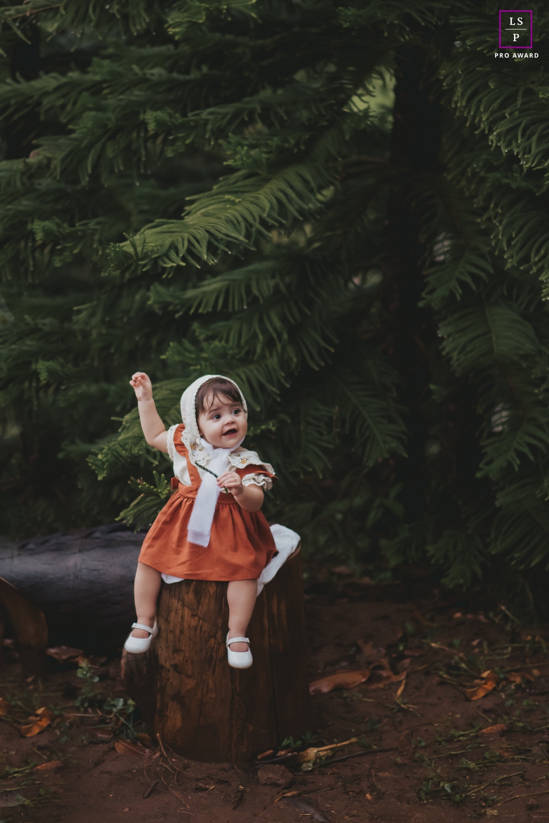 In Caratinga, Brazil, a lifestyle photo session was conducted featuring a girl surrounded by deep green foliage in the woods, with soft sunlight filtering through the trees