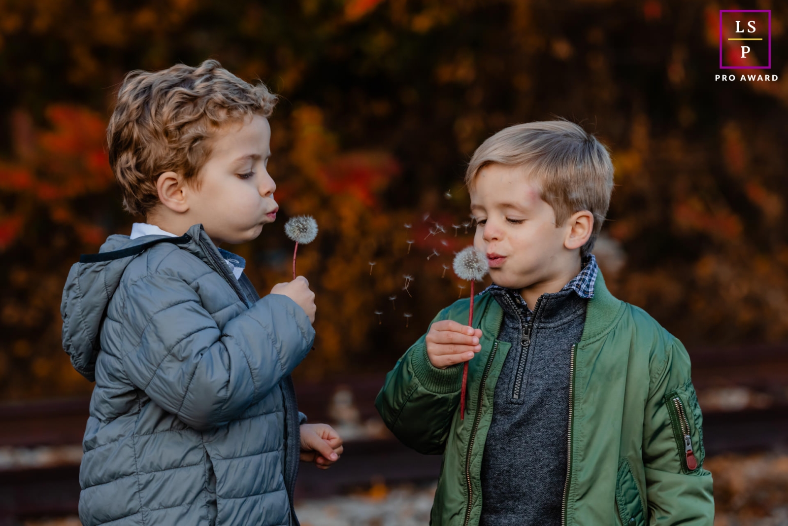 This captivating lifestyle portrait taken in MARSTONS MILLS, Massachusetts features two young brothers joyfully blowing dandelions, capturing the essence of childhood wonder and simplicity