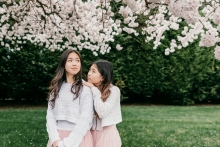 Two sisters spend time together beneath blooming cherry blossom trees during a springtime family lifestyle photography session in Seattle, Washington.