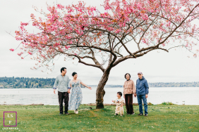 Multigenerational Family Gathers Beneath Cherry Blossoms Along Seattle Waterfront In Spring A multigenerational family gathers beneath a blooming cherry blossom tree beside the waterfront during a spring lifestyle session in Seattle.