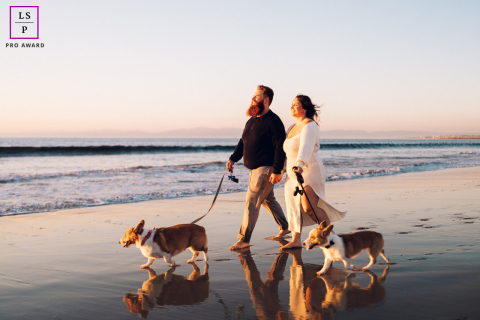 At Redondo Beach, CA, a couple strolls along the shoreline at sunset with their two Corgis on leashes. The warm, romantic light frames this cozy seaside scene filled with affection and companionship.