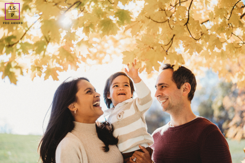 Boston family portrait: Three people laughing joyfully together beneath a tree’s autumn leaves.