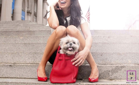 Mulher estilosa de Nova York e seu cachorro fazem pose na escadaria do museu em sessão de retratos de animais de estimação urbanos Neste cativante retrato de animal de estimação tirado em Nova York, uma mulher chique com uma bolsa e sapatos vermelhos vibrantes posa com adoração com seu cachorro na grande escadaria de um museu, criando uma expressão de companheirismo visualmente deslumbrante e elegante.