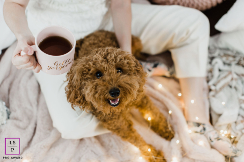 Em uma casa aconchegante em Chicago, IL, uma senhora está sentada segurando uma xícara de café quente enquanto seu amado cachorro está deitado ao seu lado. O dono está vestido de branco, espelhando seu ambiente pacífico, com luzes de fada adicionando um toque de magia à cena.