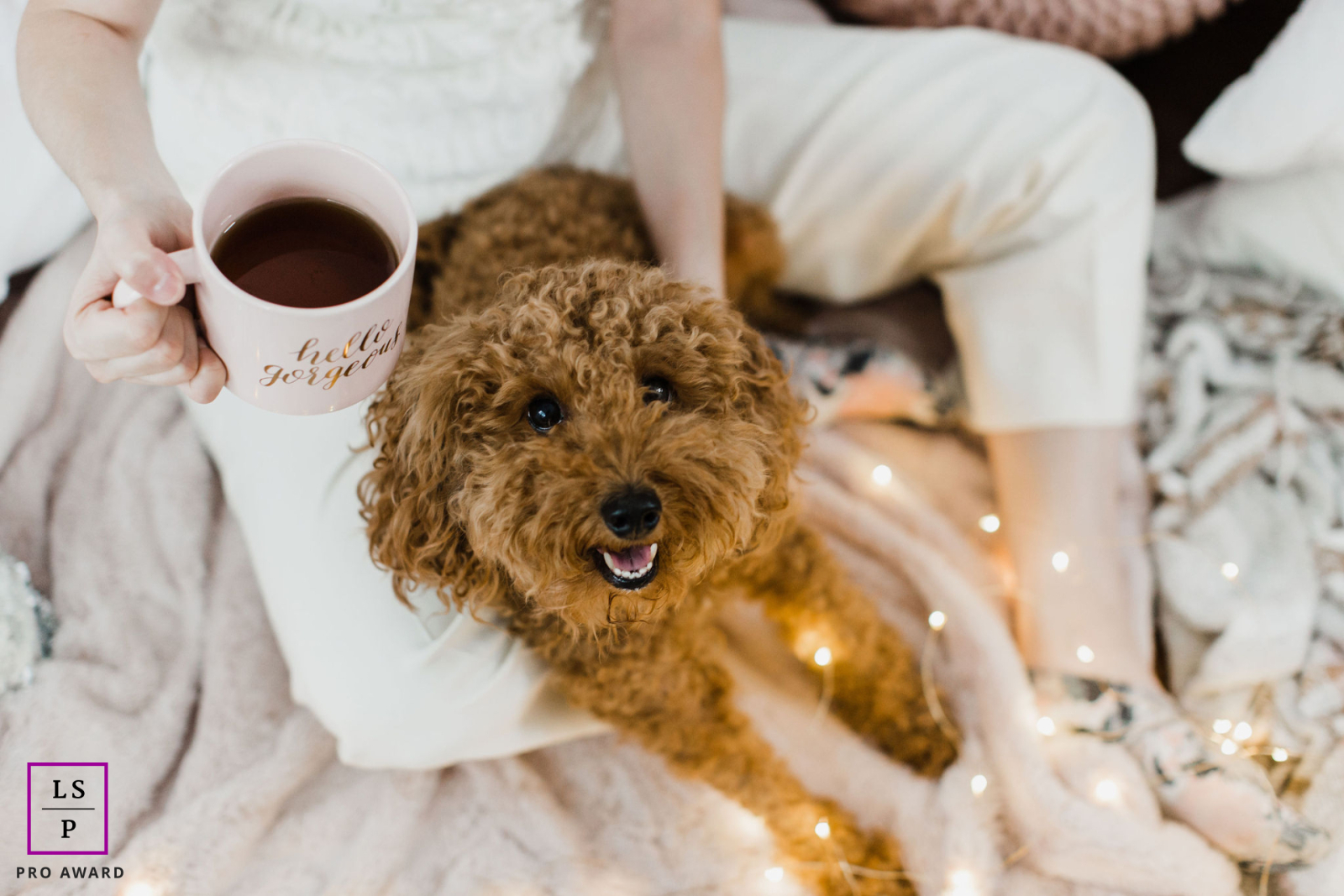 Dans une maison confortable de Chicago, dans l'Illinois, une dame est assise, tenant une tasse de café chaud, tandis que son chien adoré est allongé à ses côtés. La propriétaire est vêtue de blanc, reflétant son environnement paisible, avec des guirlandes lumineuses ajoutant une touche de magie à la scène.