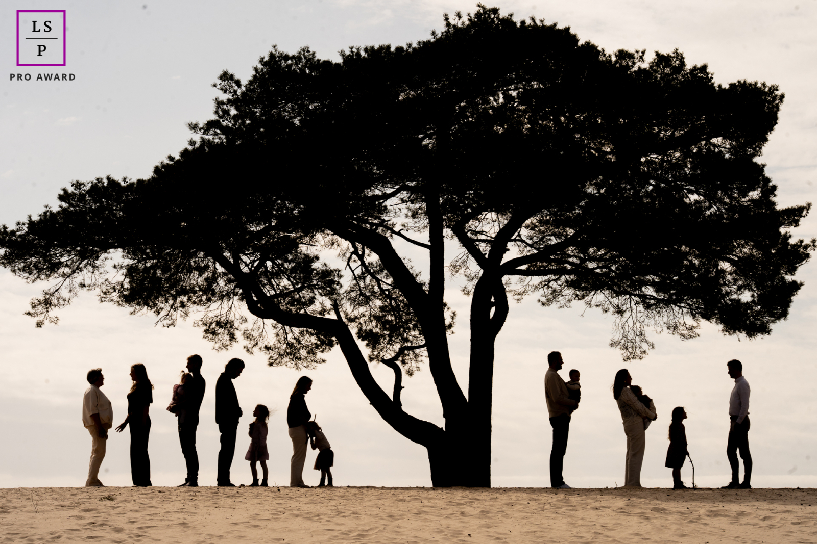 Beneath the sweeping tree in Soesterduinen, generations of family members stand spaced like chapters in a shared story. The silhouette composition and quiet negative space give the photograph elegance, balance, and emotional depth.