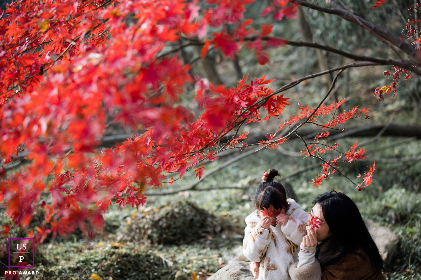 Hangzhou City mother and daughter under the maple leaf for a family portrait session in Zhejiang