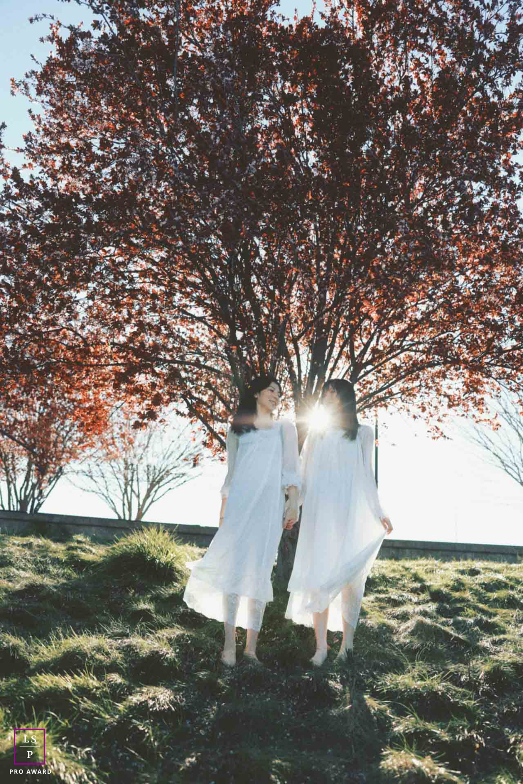 In San Ramon, California, the pair stands beneath glowing autumn trees as sunlight spills between them. The flowing white dresses and backlit scene create a portrait filled with softness, connection, and a quiet sense of love and togetherness.