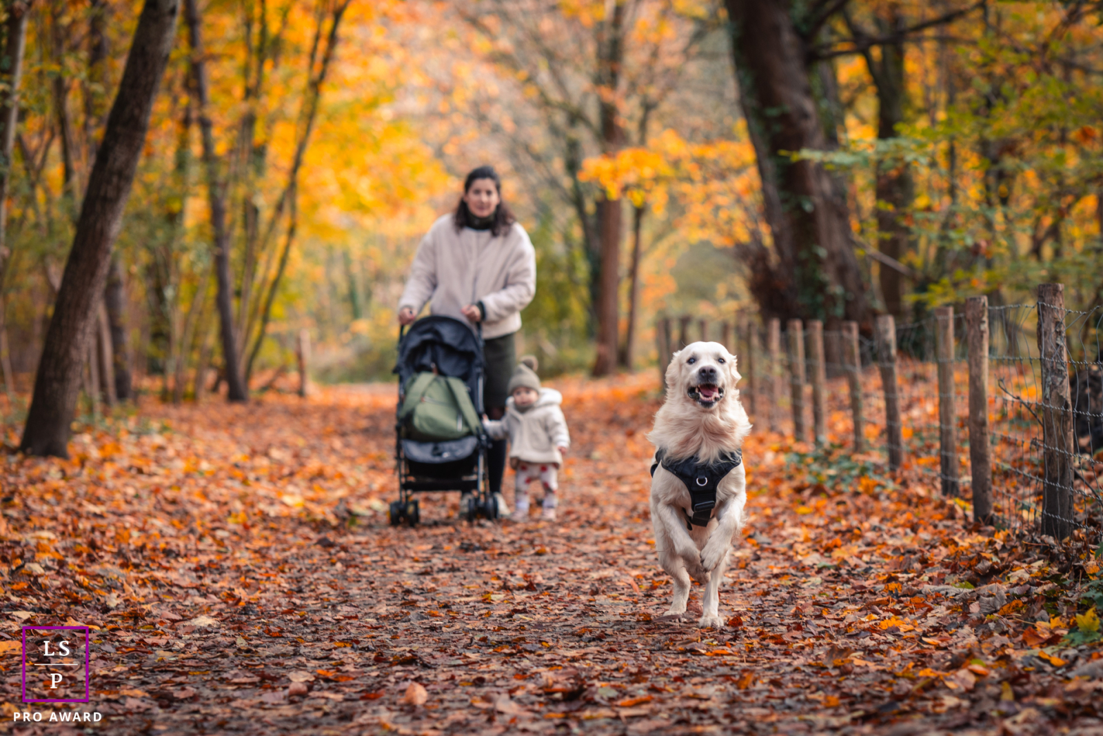 Une scène d'automne vibrante mettant en vedette un chien joueur bondissant dans un lit de feuilles colorées, tandis qu'une petite fille et sa mère se promènent le long d'un sentier dans le Val de Marne.
