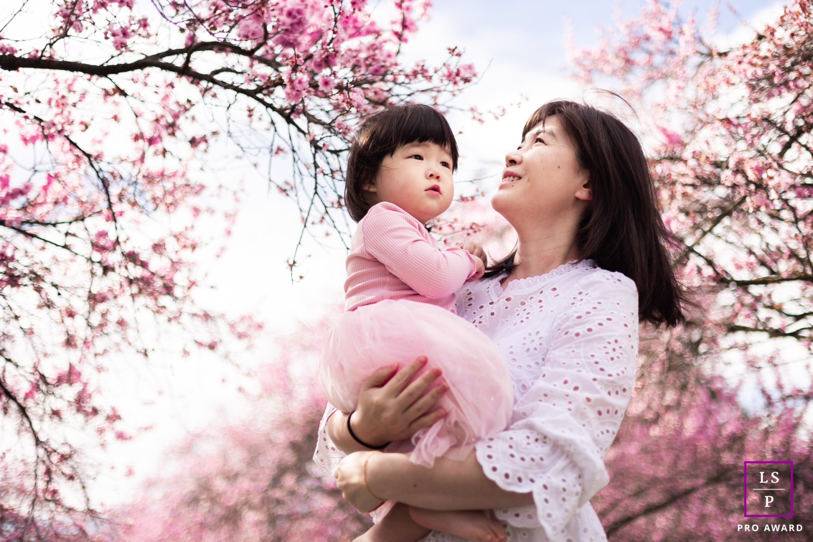 In San Ramon, California, a mother gently holds her two-year-old daughter beneath blooming blossoms, enjoying the warmth of spring's embrace.
