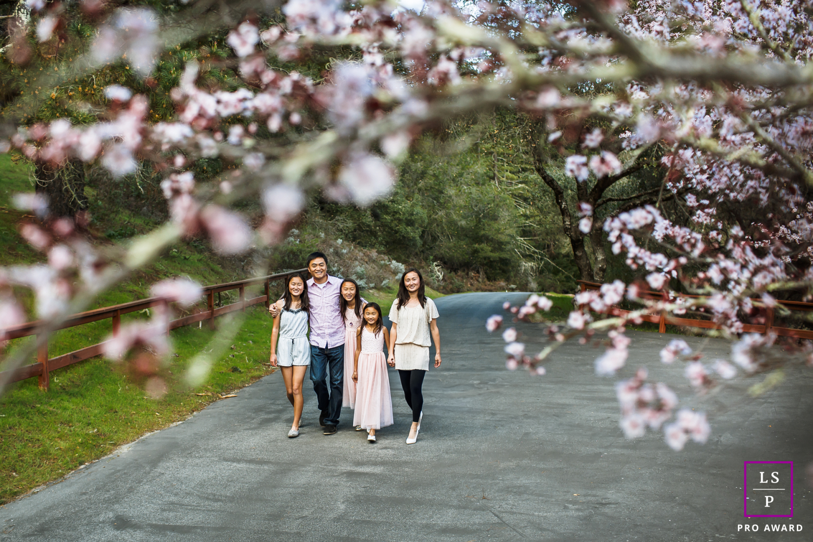 In Scott Valley, CA, a mom and dad walk with their three daughters along a trail lined with blooming trees.