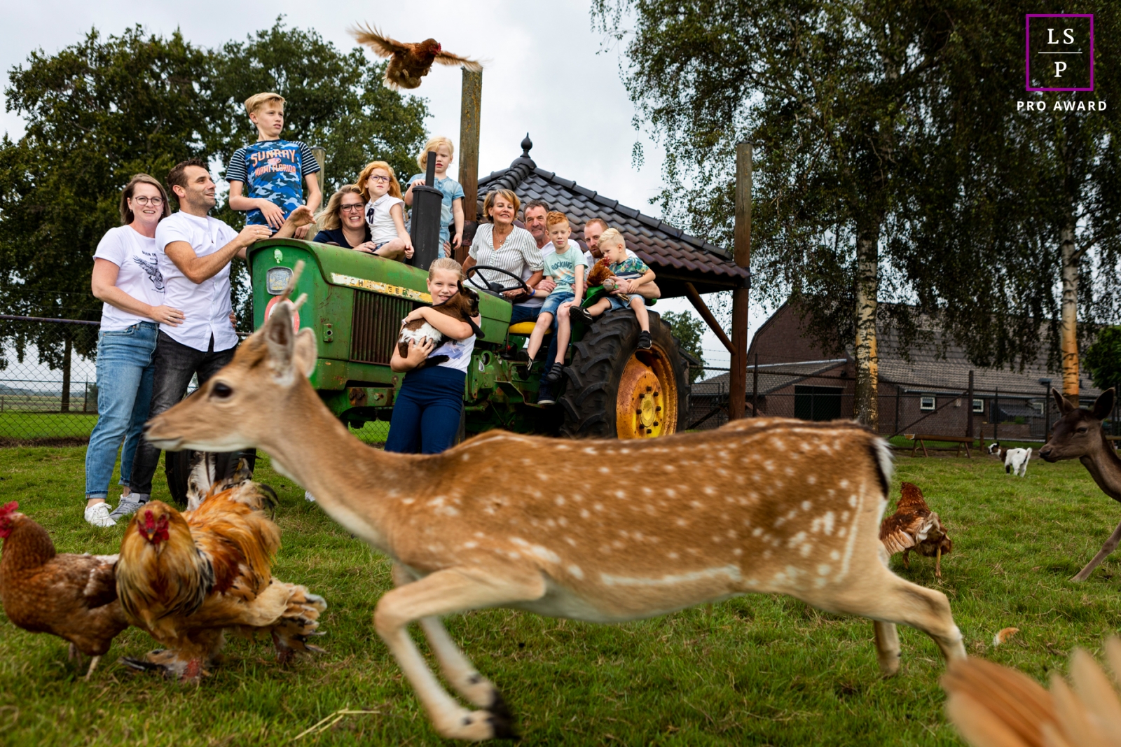 Gelderland Lifestyle Family Photographer created this artistic portrait on the farm with a tractor, deer and chickens