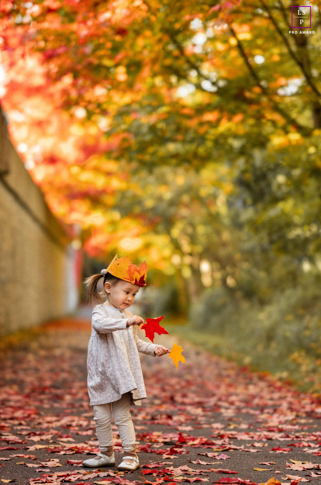 In Redmond, Washington, a little girl joyfully plays in a park, surrounded by vibrant autumn leaves in shades of red, orange, and yellow, as she delightfully embraces the beauty of the fall season.