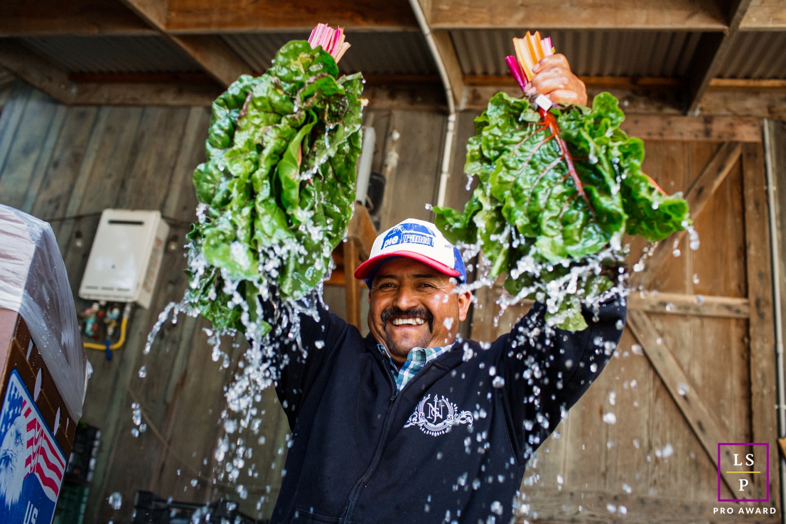In this vibrant lifestyle business portrait, a man from Pescadero, CA proudly lifts up a handful of fresh, wet leafy greens at Pie Ranch, California.